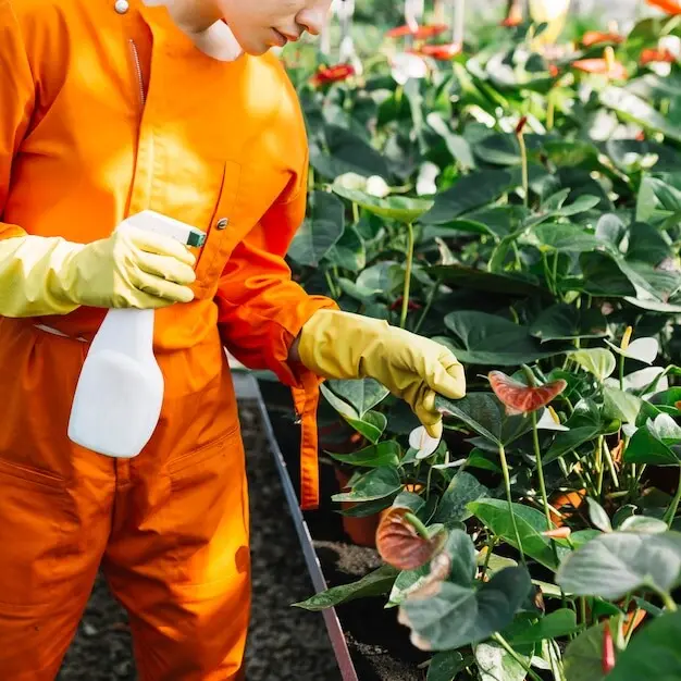 温室内でスプレーボトルを持った庭師が植物を観察しているクローズアップ。